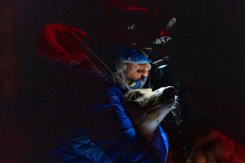 Photo by Melissa Shelby for the Idaho Sled Dog Challenge. Visit https://melissashelbyphotography.pic-time.com/aXqkSxZC to download high-resolution versions of these images and more stills.