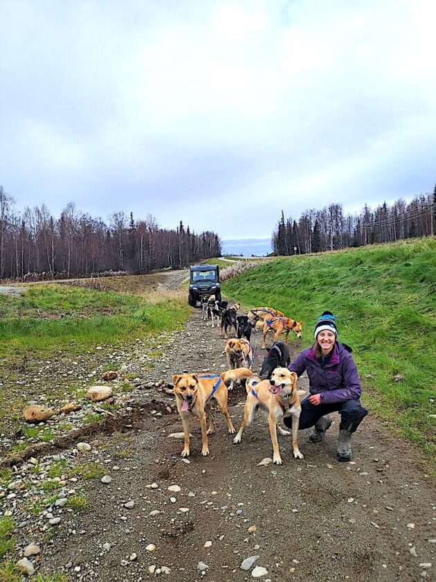 Submitted Photo Sydnie Bahl trains her dog team in the off season. | Article: Ben Pifher, Minot Daily News