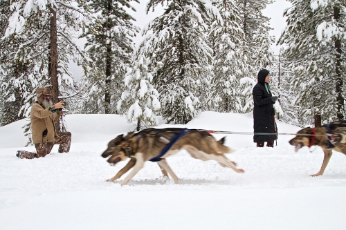 Doug Middleton, left, and Annie Chrietzberg of La Pine take pictures of dog teams going by during the 20th running of the Chemult Sled Dog Races at Walt Haring Sno-Park in Chemult Jan. 17, 2016. The races have been canceled for 2018.