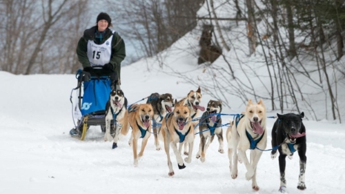 Joanna Oberg, who lives north of Ignace, Ont. is a 2018 Gunflint Mail Run champion. (Brockit Inc.)