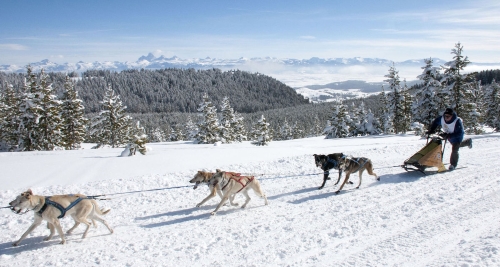 Dennis Laboda drives his sled dog team during the Driggs, Idaho, leg of the Pedigree Stage Stop Race last year. Laboda finished sixth overall in the 2017 event.