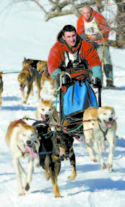 Unnamed Musher with his dogs