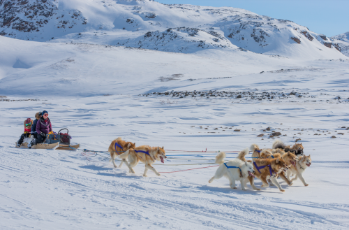 Leetia Eegeesiak, Meliya Allain and Lea Simic are seen dog sledding on the Kimmirut trail. (Photo by Jovan Simic)
