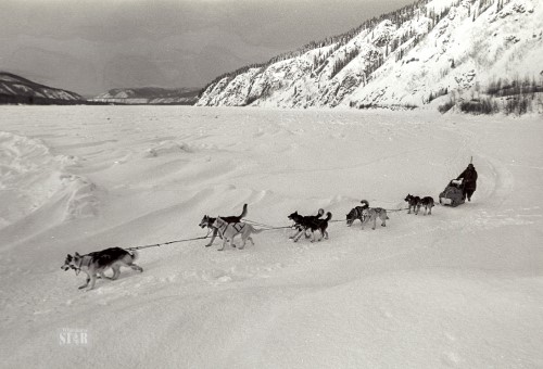 A GOOD ONE LOST - Larry 