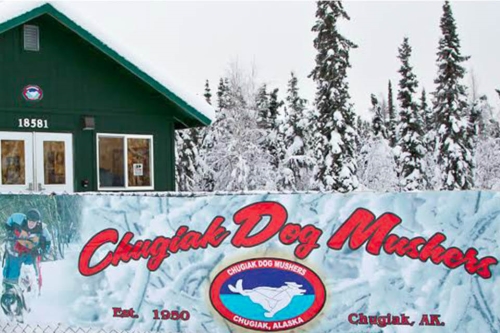 Once again the Chugiak Dog Mushers will offer community members and businesses a chance to drive a sled dog team in the 2019 Friends of CDMA Race! Once again the Chugiak Dog Mushers will offer community members and businesses a chance to drive a sled dog team in the 2019 Friends of CDMA Race!