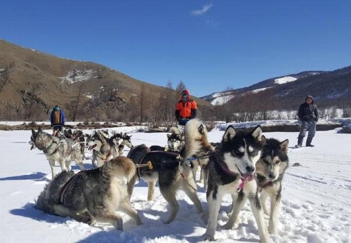 Solo traveller Balram Menon shares the thrilling experience of dog sledding on a frozen lake in Mongolia