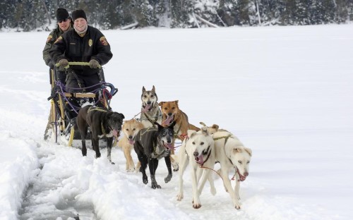 Mary Manning’s dog team pulls her and fellow conservation officer Tom Wahlstrom across Daniels Lake in the Boundary Waters Canoe Area Wilderness on a tandem sled earlier this month. Manning is the only Minnesota conservation officer who patrols by dog team. (Steve Kuchera / skuchera@duluthnews.com)