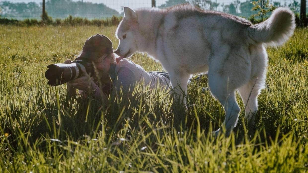 Teresa Angell has a fascination with photographing dogs, particularly Siberian huskies.