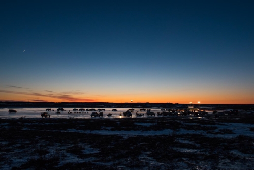 CREDIT KATIE BASILE / KYUK