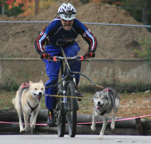 Northern New England Sled Dog Trade Fair Oct 5-7 2019