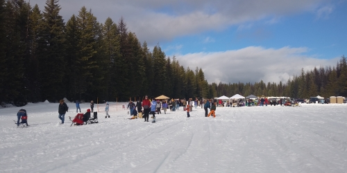 People mingling while waiting for the mushers to come in | Image/Article credit: Gabriel Petrina, SDC Staff