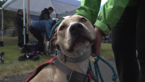 BY CENTRAL OREGON DAILY NEWS SOURCES