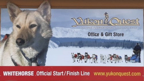 Bev Regier is retiring from the Yukon Quest after spending 18 years with the organization. John Tonin/Yukon News