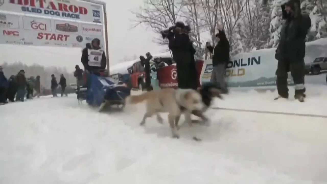 Riley Dyche leaving the chute | Article/Image Credit: www.kwwl.com/ Riley Dyche leaving the chute | Article/Image Credit: www.kwwl.com/