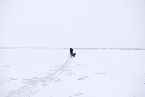 CREDIT KATIE BASILE / KYUK