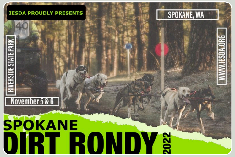 Hosted by IESDA Hosted by IESDA