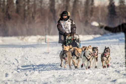 Stoddard and dog team just after day one of the race. (Photo courtesy of Julia Redington)