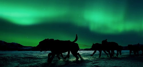 $40,000 1st place, Sign-up closes Dec. 1 @ Noon