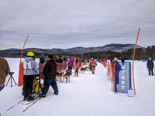 The start of the 2019 dog sled race on Lake Chocorua, with Mount Chocorua in the distance. CREDIT JASON MOON / NHPR
