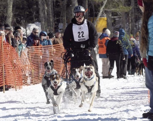 Steve Stubbs of Wyndham, Maine, gives commands while starting off in the 4-dog team race at the Tamworth’s Outing Club’s sled dog race in January 2019. The 2021 sled dog races have been canceled. (JAMIE GEMMITI PHOTO)