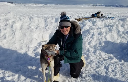 Jack Civic, a Jamestown resident and co-managing veterinarian at Newport Animal Hospital poses with one of the dogs in the Iditarod Trail Sled Dog Race in Alaska. Civic was one of 45 volunteer veterinarians stationed on the nearly 1,000-mile course. [PHOTO CONTRIBUTED BY JACK CIVIC]