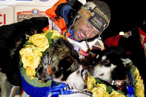 In this March 18, 2020 file photo, Thomas Waerner, of Norway, celebrates his win in the Iditarod Trail Sled Dog Race in Nome, Alaska. The world