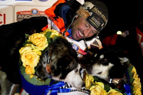 In this March 18, 2020, file photo, Thomas Waerner, of Norway, celebrates in Nome, Alaska, his win in the Iditarod Trail Sled Dog Race. Waerner is still waiting to return to his home in Norway. Waerner and his 16 dogs have been stranded in Alaska by travel restrictions and flight cancellations caused by the coronavirus pandemic. (Marc Lester/Anchorage Daily News via AP, File)  Marc Lester