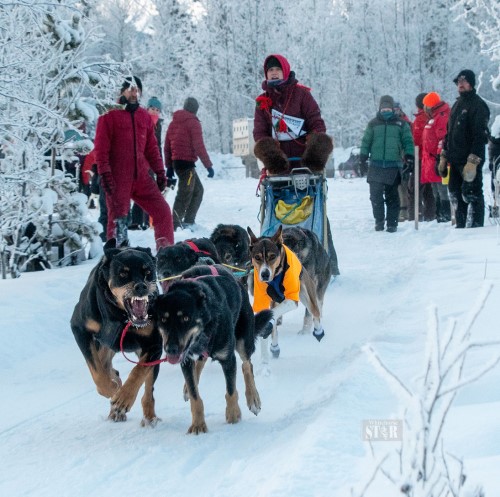OFF THEY GO – Maria Metzen mushes her team out of the start chute during the Yukon Dog Musher Association’s first preliminary race on Saturday at the Ibex Valley trails.  Photo by Vince Fedoroff