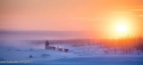 Author:  Georganne Brainard