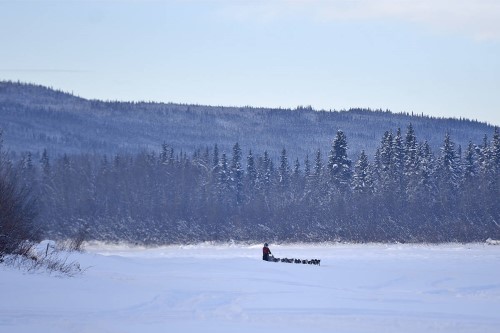 Brent Sass and his team approach the Pelly Crossing checkpoint along the Pelly River on Feb. 9 during the 2020 Yukon Quest. The Yukon Journey will follow a similar trail to the Quest from Dawson City to Whitehorse this winter. (John Hopkins-Hill/Yukon News file)