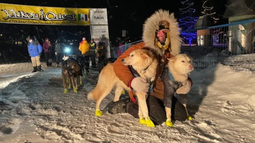 Brent Sass with 2 of his dogs at the finish line of the Yukon Quest 300 race in Whitehorse on Tuesday morning. Sass won the 482-kilometre race, beating Yukoner Michelle Phillips by about half an hour. (Vincent Bonnay/Radio-Canada)