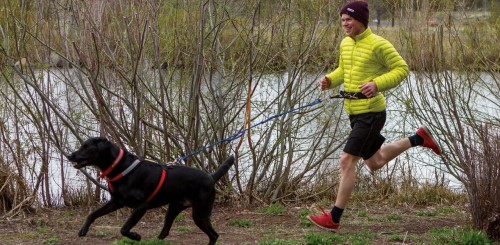 Dogtown USA - 2022 Canicross Dog & Jog Dogtown USA - 2022 Canicross Dog & Jog