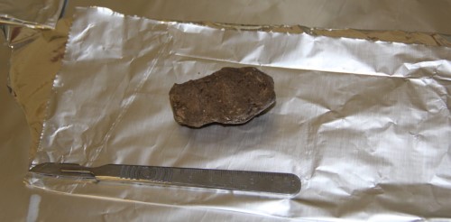 Dog paleofeces having undergone a drying process. Credit: Katharina Dulias