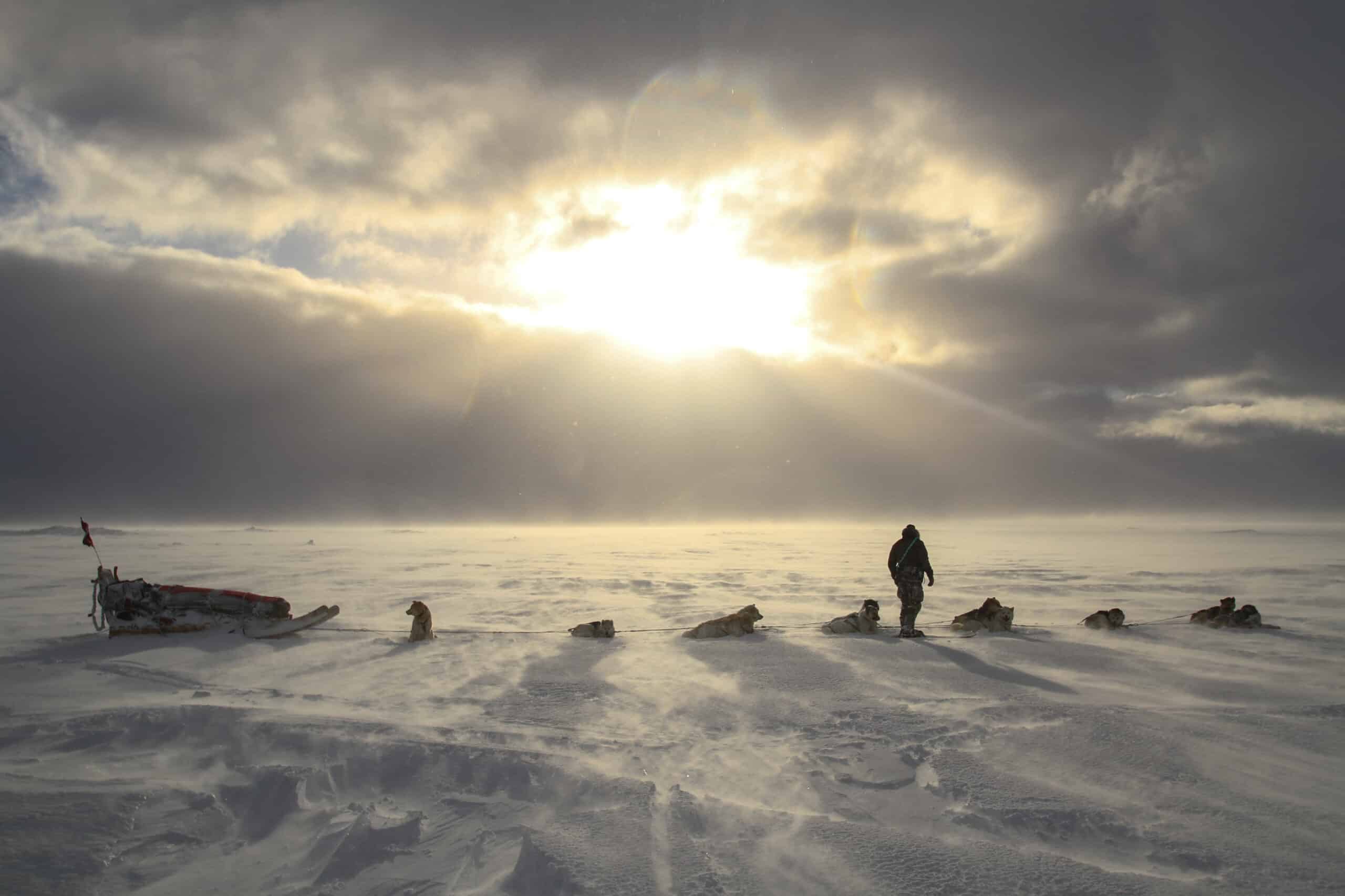 Danish Sled Dog Patrol with unknown members