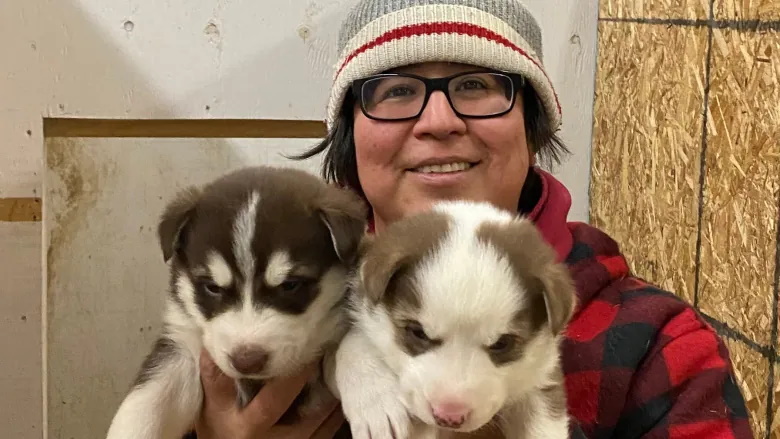 When asked why she is so committed to the vaccine program, Phoebe Sutherlands says "It’s just providing my dogs the best vet care I can with the gaps we have." (Phoebe Sutherland) | Article Credit: Bridget Yard, CBC