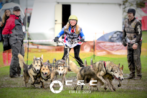 The photo (courtesy of Christian Helm) shows Mary and her dogs powering out of the start chute