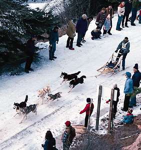 Dogsled team racing in the Redstone Classic, Redstone, Colo.