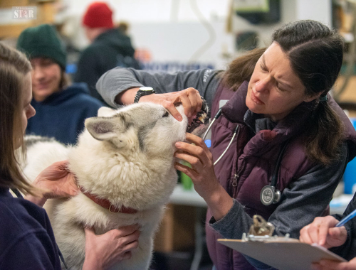 Photo by John Tonin  MAKING SURE THEY