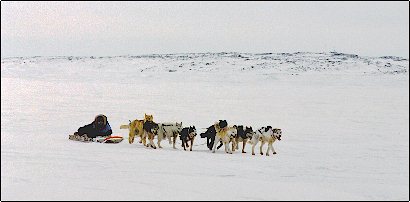 nunavut_style.jpg (17620 bytes)