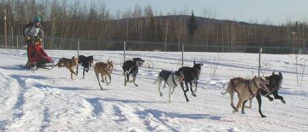 c_barron.jpg (22845 bytes)