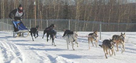 church.jpg (24633 bytes)