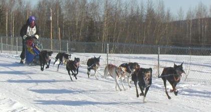 lundberg.jpg (24258 bytes)