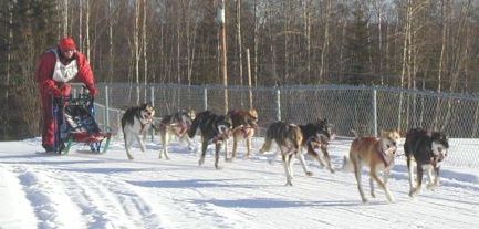 orbison.jpg (24518 bytes)