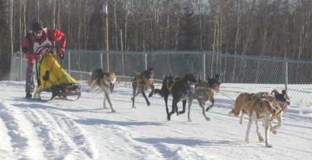 partow.jpg (26199 bytes)