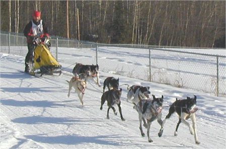 taveau.jpg (33511 bytes)