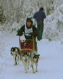 team3.jpg (15357 bytes)