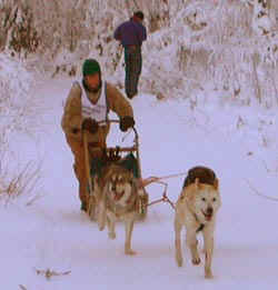 team4.jpg (13514 bytes)