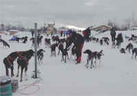 Open teams at the finish on day 1