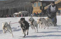 Brenda Burge 2004 LNAC