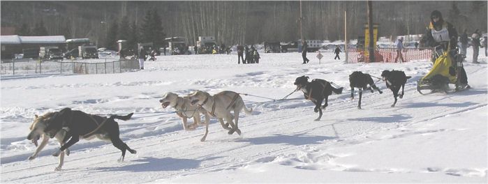 Uschi Liebhard 2004 LNAC